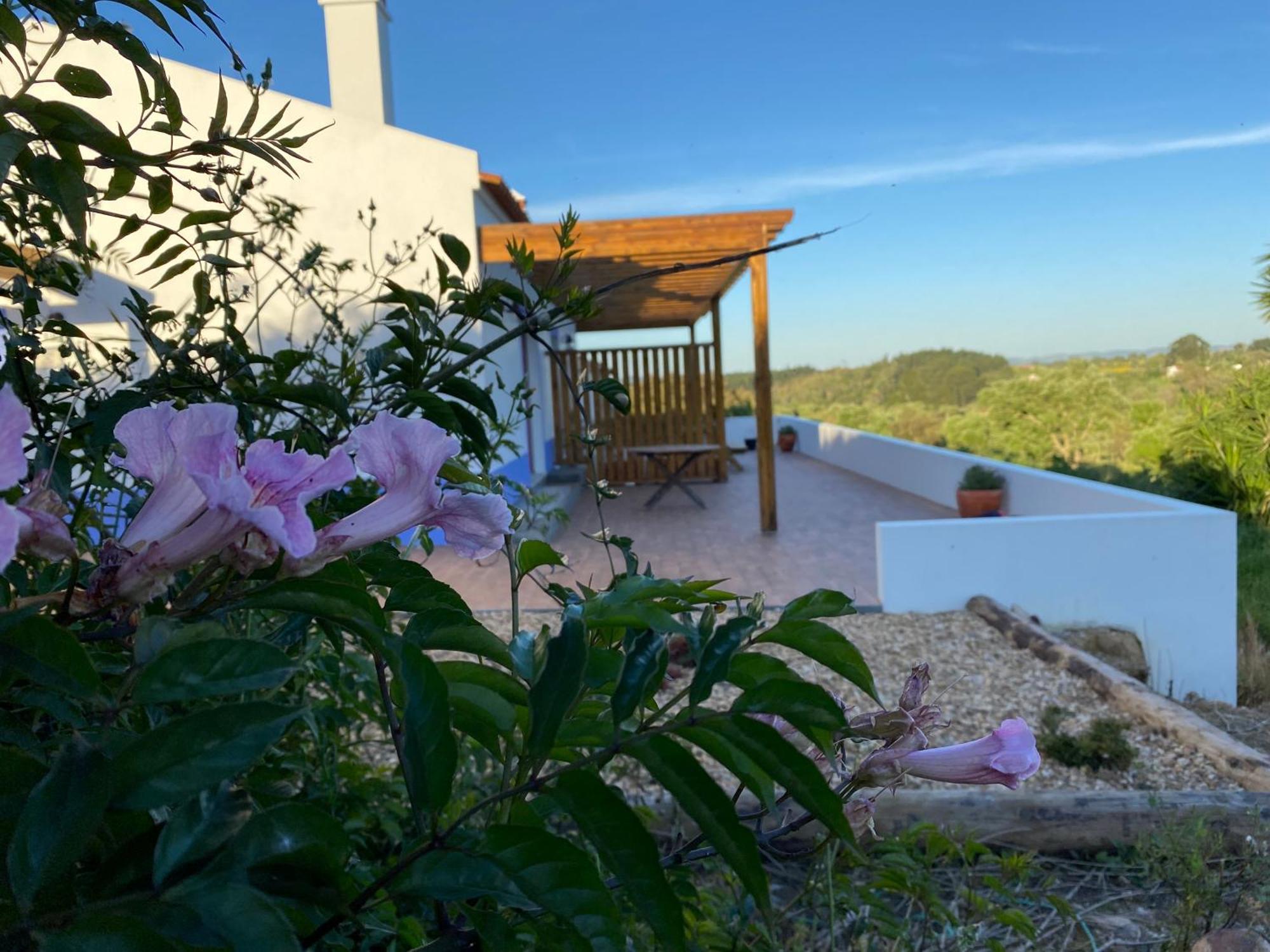 Holiday home Monte Da Caniveta - Casa Do Avo *
